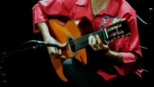 Flamenco techniques