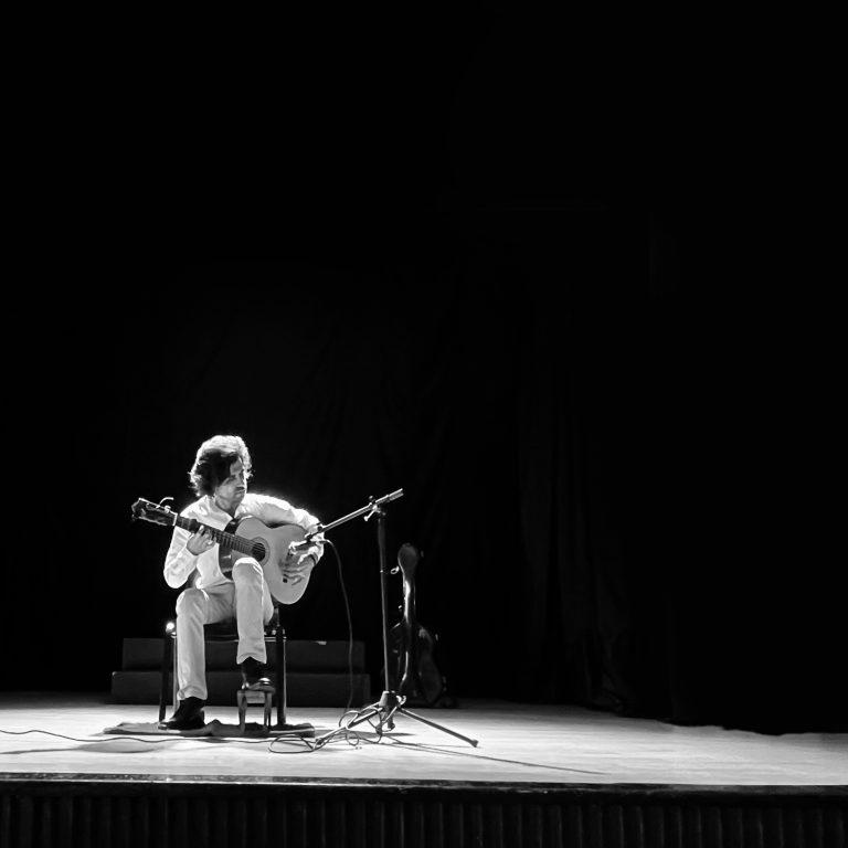 Flamenco concert guitar